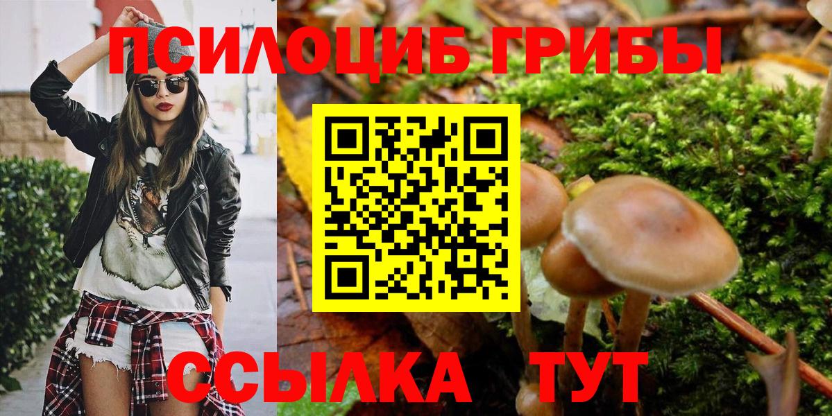 Галлюциногенные грибы мицелий  Псилоцибиновые грибы Magic Shrooms  Урюпинск  Вход с VPN 