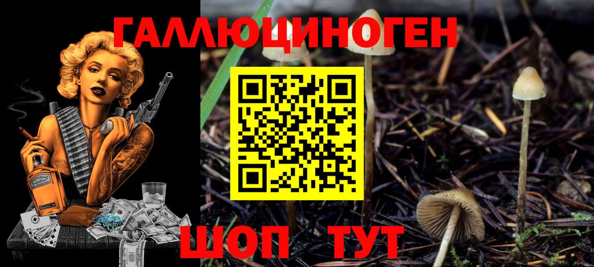 Псилоцибиновые грибы мухоморы Урюпинск